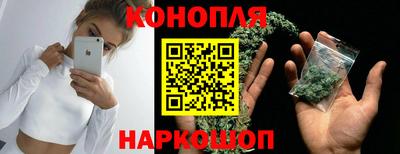 гидропоника Канаш