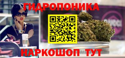 гидропоника Канаш