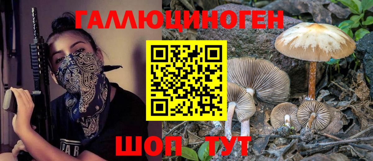 Галлюциногенные грибы Magic Shrooms Железноводск