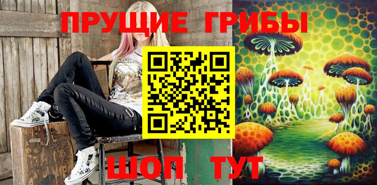 Галлюциногенные грибы Psilocybine cubensis  Вход с VPN  Железноводск  Псилоцибиновые грибы Magic Shrooms 