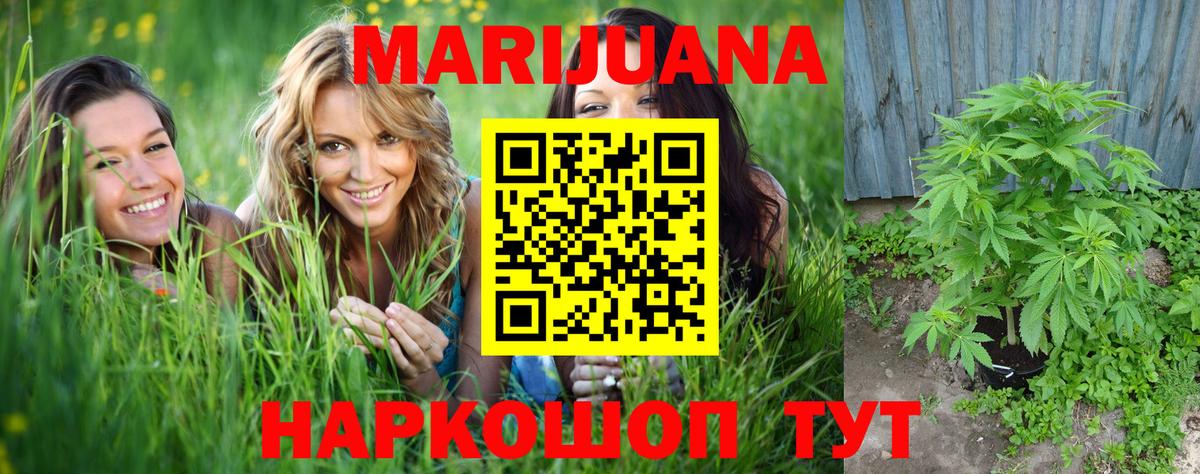 Конопля индика  Марихуана гибрид  Вход с VPN  Железноводск  Шишки марихуана MAZAR 